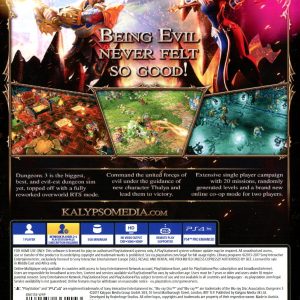 PS4 - Dungeons III (Beg) - Bild 2