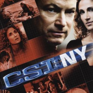 DVD - CSI New York : Säsong 4