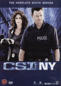 DVD - CSI New York : Säsong 6