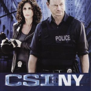 DVD - CSI New York : Säsong 6