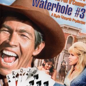 DVD - Waterhole # 3 (James Coburn) (1967) (Beg) - Bild 1
