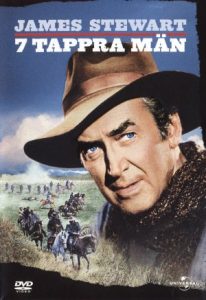 DVD - 7 Tappra män