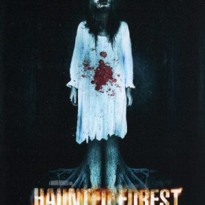 DVD - Haunted Forest (Beg) - Bild 1