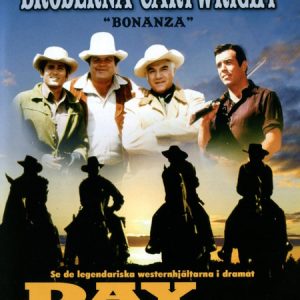 DVD - Bröderna Cartwright - Day of Reckoning front cover